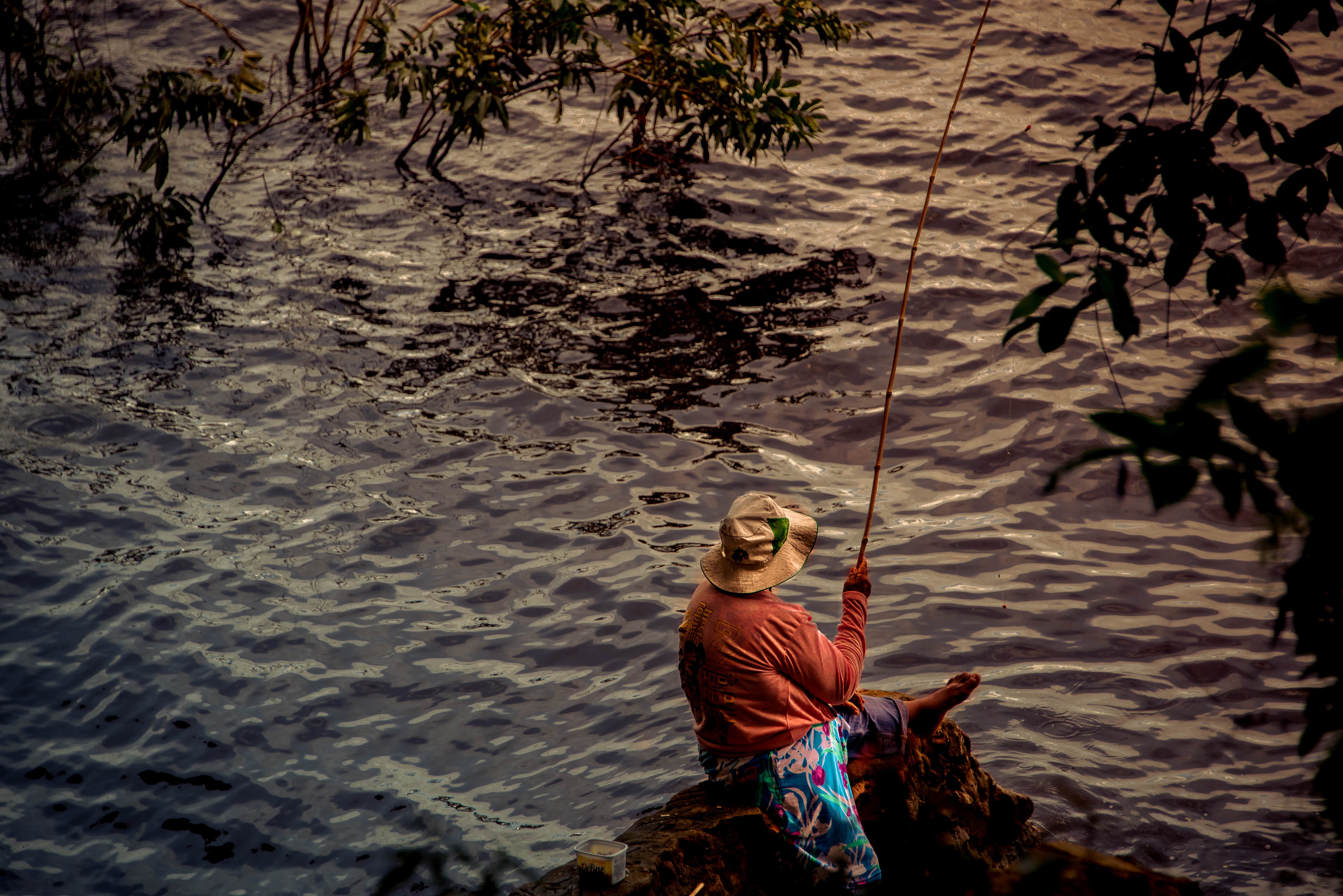Fishing & Birdwatching